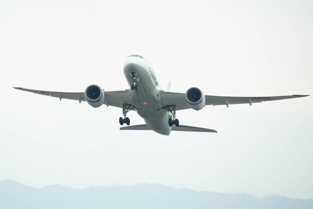 写真: ANA Green Jet (グリーンジェット)  Boeing 787-8 Dreamliner 🛫