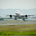 日本航空 Airbus A350 XWB  A350-900 🛫