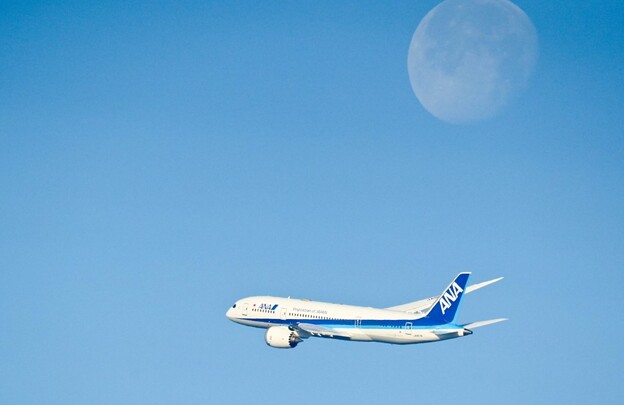 写真: 全日空  Boeing 787-8🛫