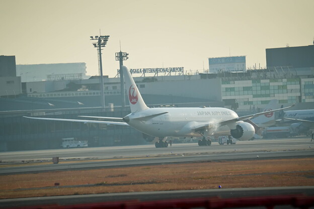 日本航空　Boeing 787-8 Dreamliner ?