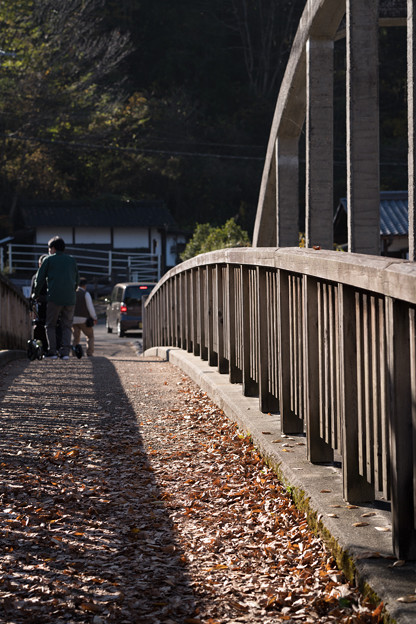 写真: 秋の橋渡し