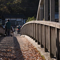 Photos: 秋の橋渡し