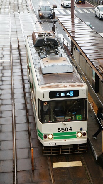 熊本市電 8504