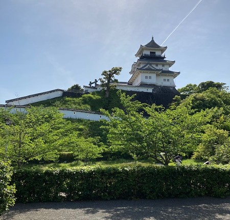 御殿から見た掛川城