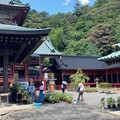 浅間神社の朝顔展