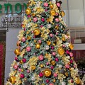 セノバのクリスマスツリー