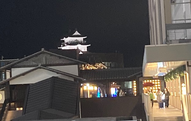 写真: 小田原城のライトアップ