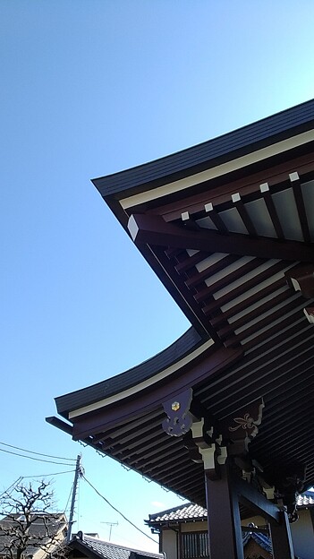 写真: 青空と屋根