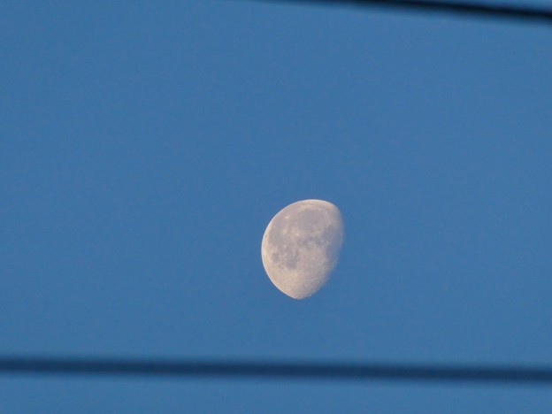 写真: 電線越しに見えた早朝に浮かぶ月