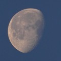 写真: 早朝に浮かぶ月 - 2