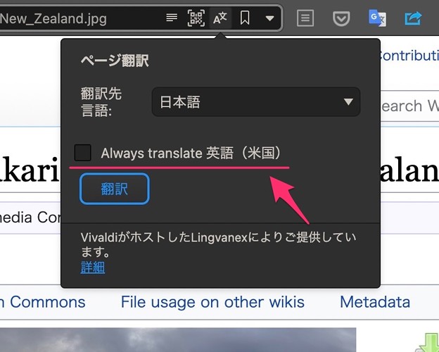 写真: Vivaldi snapshot 3.8の翻訳機能：英語のページを常に翻訳する機能が追加 - 5