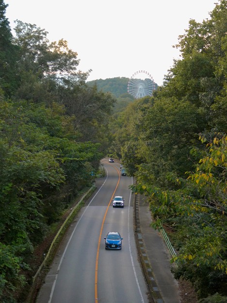 写真: 陸橋から見た尾張パークウェイ（愛知県道461号犬山自然公園線） - 3：モンキーパークの観覧車
