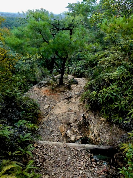 写真: 継鹿尾山頂上から寂光院への道 - 26