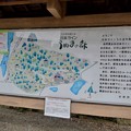 写真: 日本ラインうぬまの森：案内図