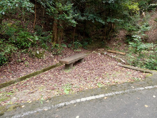 写真: 日本ラインうぬまの森：ふるさと眺望の丘へと通じる「萩の道」 - 3：途中のベンチ