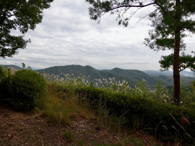 写真: 日本ラインうぬまの森：展望台手前から見た大平山と継鹿尾山 - 1