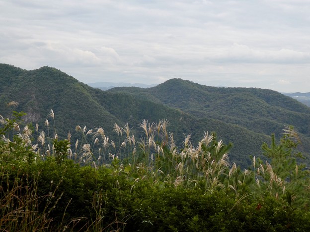 写真: 日本ラインうぬまの森：展望台手前から見た大平山と継鹿尾山 - 3