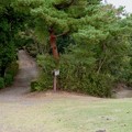 写真: 日本ラインうぬまの森：展望台広場 - 4（山の頂上への道や眺望の道への別れ道）