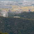 日本ラインうぬまの森：展望塔広場から見た景色 - 42（モンキーパークの観覧車）