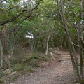日本ラインうぬまの森：陰平山三角点への道