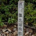 写真: 日本ラインうぬまの森：陰平山の三角点 - 4