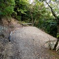 写真: 日本ラインうぬまの森：眺望の道 - 10