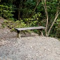 日本ラインうぬまの森：眺望の道 - 11