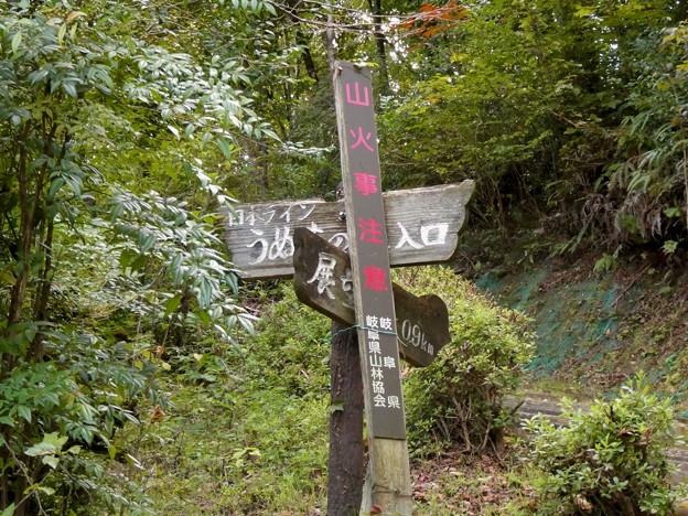 写真: 日本ラインうぬまの森：新鵜沼台側の登山道入り口 - 6