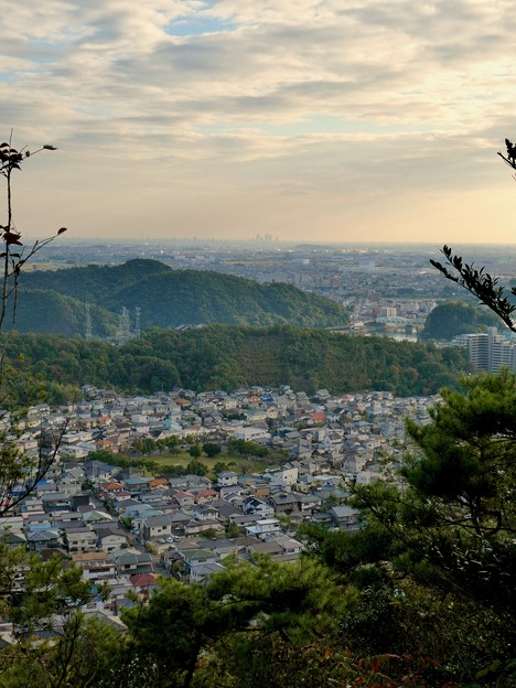 写真: 日本ラインうぬまの森：眺望の道から見た景色 - 7