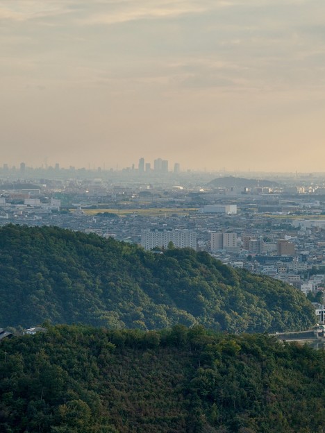 日本ラインうぬまの森：眺望の道から見た景色 - 8（名駅ビル群）