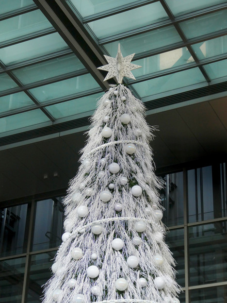 写真: ゲートタワー前に設置されてたクリスマスツリー（2021年11月3日）- 3