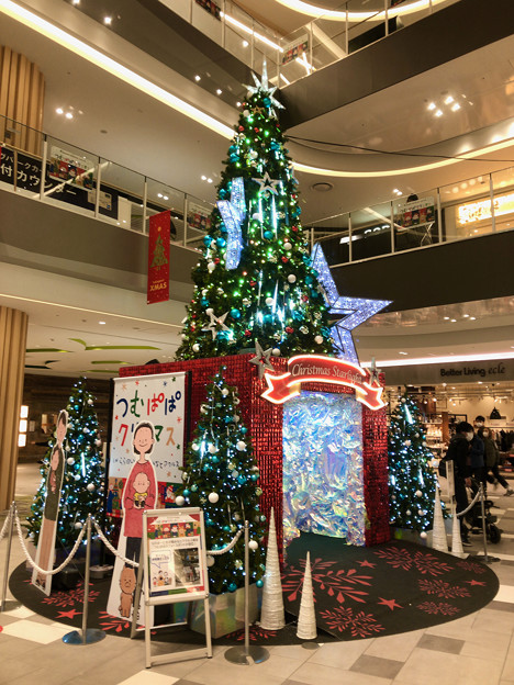 写真: ららぽーと名古屋みなとアクルスのクリスマスツリー - 2