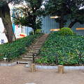 写真: 那古野山古墳公園 - 7：古墳の上に登れる階段