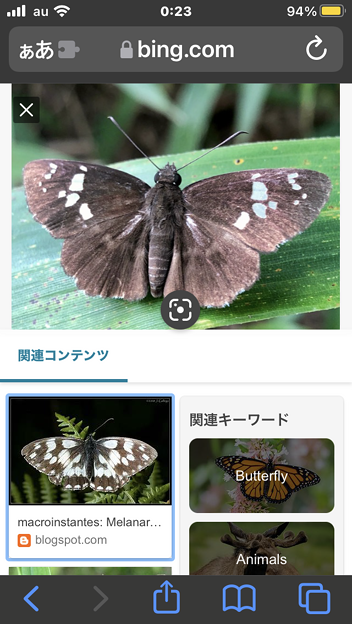 写真: Bing画像検索 - 3