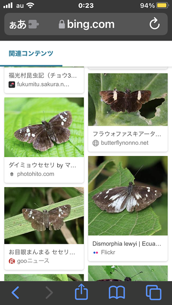 写真: Bing画像検索 - 5