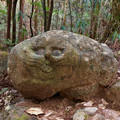 写真: 東谷山・尾張戸神社参道にある謎の猫石 - 8