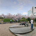 春の栄公園 - 13