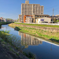 写真: 植田川