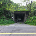 写真: 大洞池前の中央道下を通る道 - 1