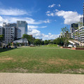 写真: 久屋大通公園のテレビ塔下の芝生広場