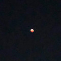 写真: iPhone 8で撮影した皆既月食（2022年11月08日） - 4