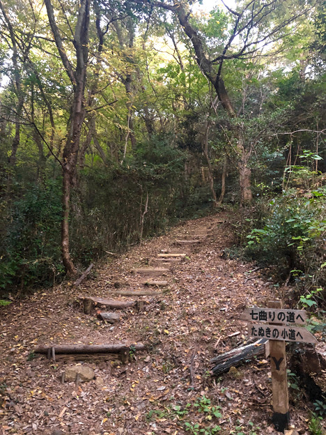 Photos: 伊木山：「キューピーの鼻」展望台から「たぬきの小道」までの山道 - 2