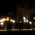 写真: 東山動植物園 紅葉ライトアップ 2022 - 1