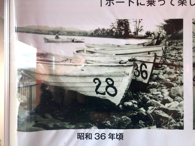 Photos: 昭和30年代の落合池 - 2