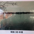 Photos: 昭和30年代の落合池 - 3