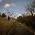 写真: iPhone 12 Mini：ナイトモード（3秒）で真っ暗な道を撮影