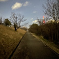 写真: iPhone 12 Mini：ナイトモード（10秒）で真っ暗な道を撮影