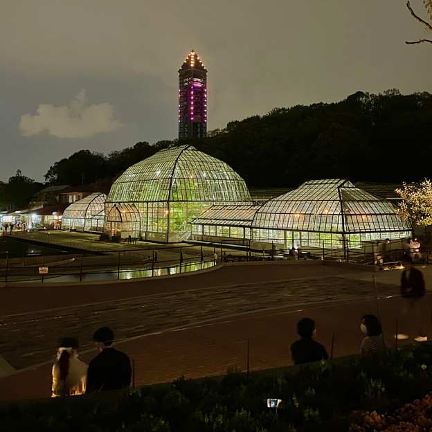 東山動植物園春まつり：植物園温室のライトアップ - 3