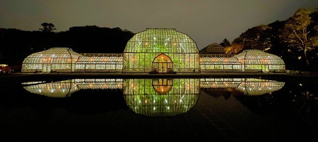 東山動植物園春まつり：植物園温室のライトアップ - 8