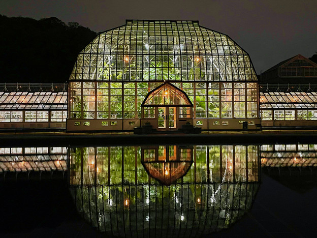 東山動植物園春まつり：植物園温室のライトアップ - 9